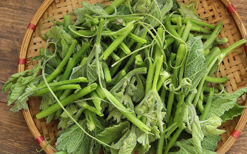 Rau bí cũng là một trong những loại thực phẩm giàu canxi