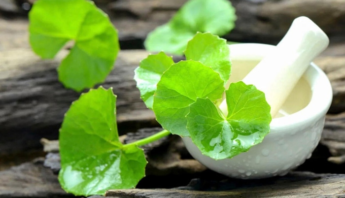 Rau má có tác dụng hỗ trợ cải thiện mụn hiệu quả