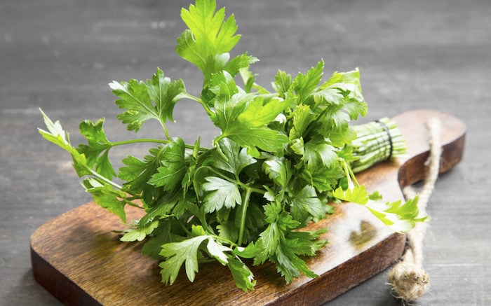 Rau mùi tây giúp tăng cường hệ miễn dịch