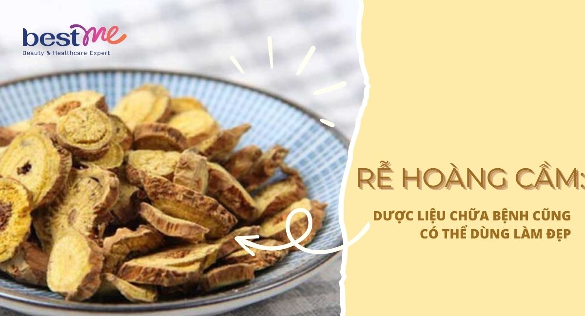Rễ hoàng cầm: Dược liệu chữa bệnh cũng có thể dùng làm đẹp