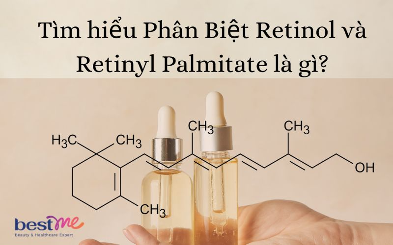 retinyl-palmitate-la-gi-co-an-toan-cho-lan-da-khong-3 Retinyl palmitate là gì? Có an toàn cho làn da không? - 3
