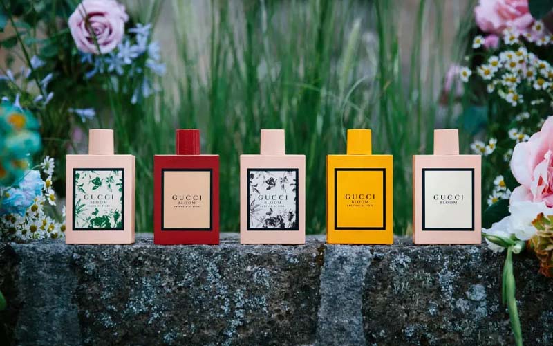 review-5-mui-nuoc-hoa-gucci-bloom-ban-chay-nhat-2024-1 Review 5 mùi nước hoa Gucci Bloom bán chạy nhất 2024 - 1