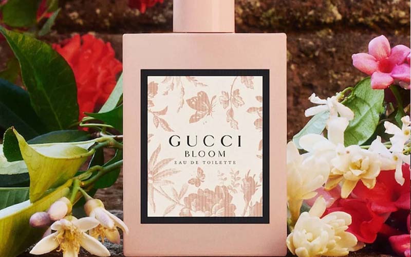 review-5-mui-nuoc-hoa-gucci-bloom-ban-chay-nhat-2024-5 Review 5 mùi nước hoa Gucci Bloom bán chạy nhất 2024 - 5