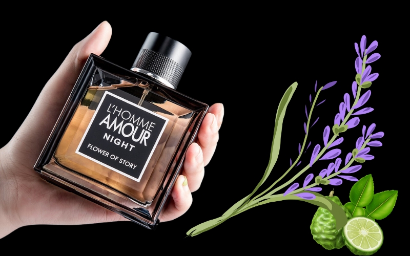 review-huong-nuoc-hoa-amour-lhomme-night-cho-nam-3 Review hương nước hoa Amour L’homme Night cho nam - 3