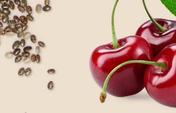Chiết xuất từ hạt lanh và cherry có trong sản phẩm giúp nuôi dưỡng làn da tươi trẻ