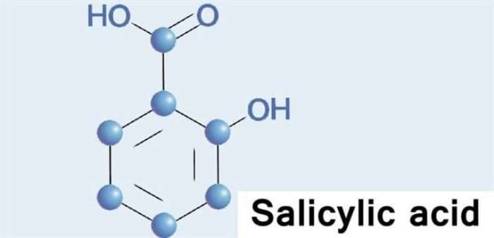 Sữa rửa mặt trị mụn trứng cá  nên có thành phần Salicylic Acid