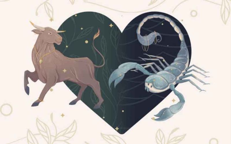 Sao Kim Ngưu Bọ Cạp có hợp làm bạn hay yêu nhau không? - 5