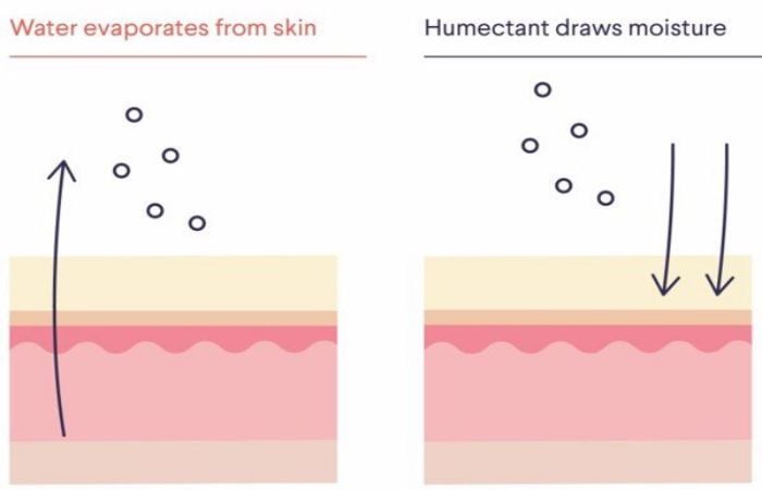 Humectant trong serum cấp ẩm mang nước từ không khí đến cho làn da