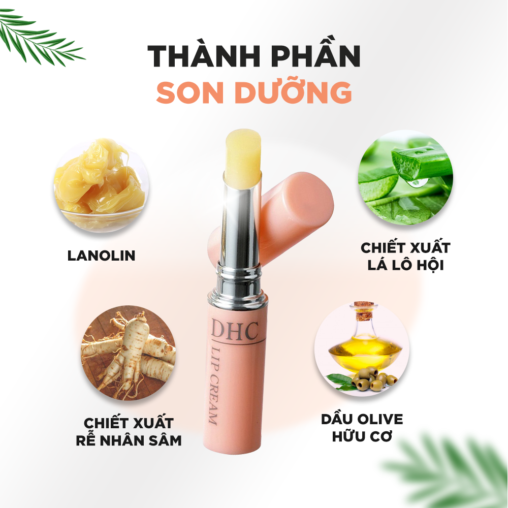 Thành phần son dưỡng môi DHC Lip Cream