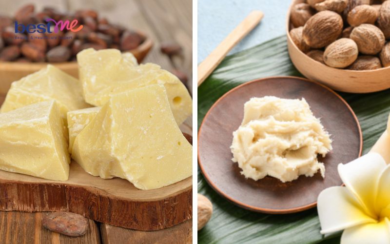 Lợi ích của bơ hạt mỡ và cách sử dụng để chăm sóc da tự nhiên - 2