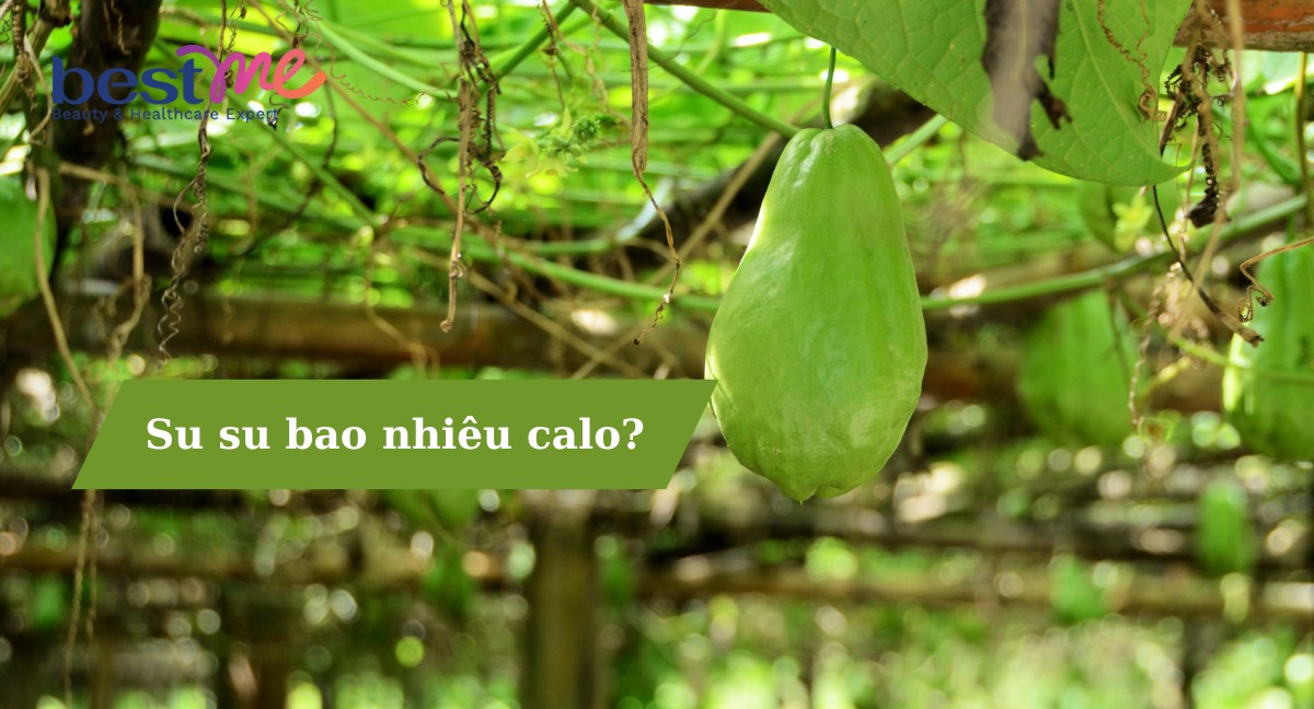Quả su su bao nhiêu calo? Thành phần dinh dưỡng và lợi ích tuyệt vời của su su 
