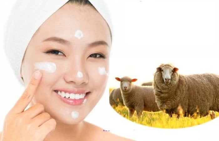 Nhau thai cừu có tác dụng gì đối với làn da?