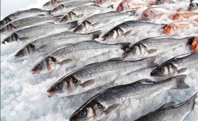 Tầm quan trọng của vitamin A cho trẻ em & Cách bổ sung - 11