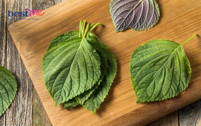 Tắm trắng bằng lá tía tô