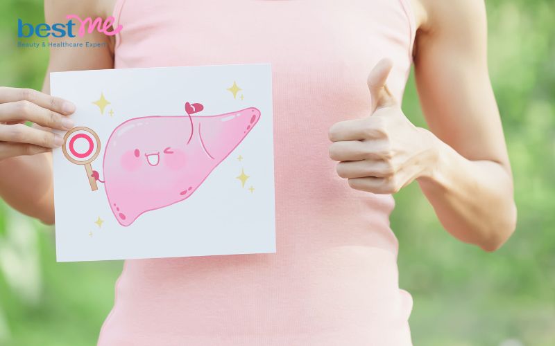 Các chức năng của gan