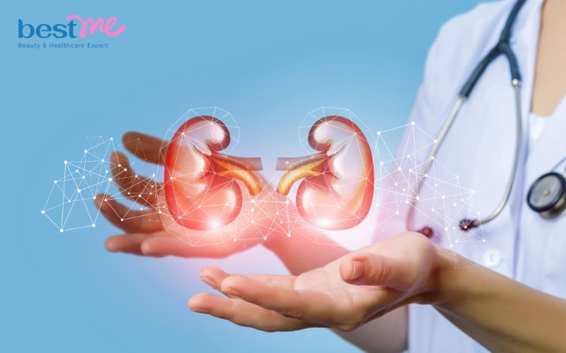 Các chức năng của thận