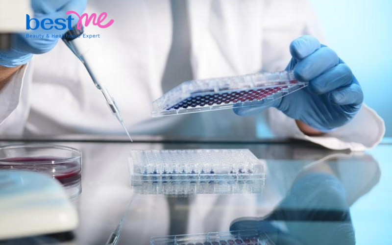 tế bào gốc trong làm đẹp