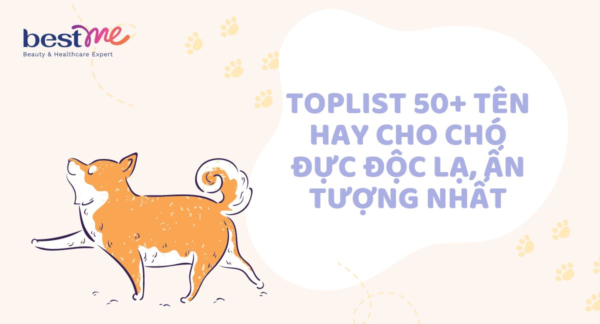 Toplist 50+ tên hay cho chó đực độc lạ, ấn tượng nhất