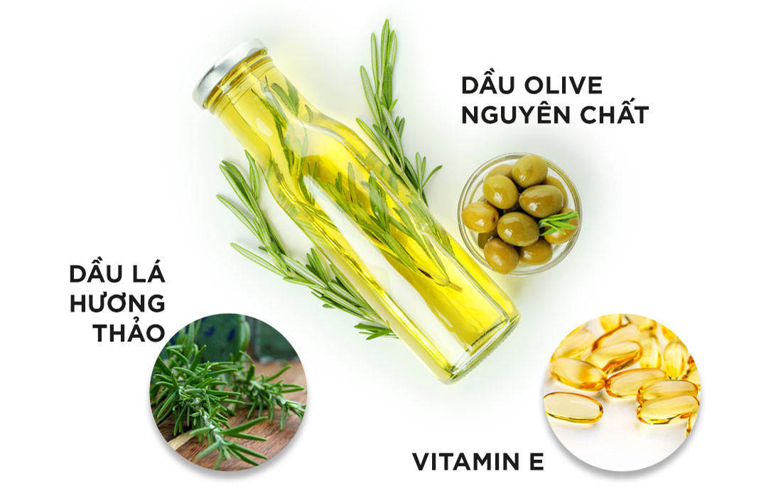 Những thành phần chính có trong DHC Olive Deep Cleansing Oil