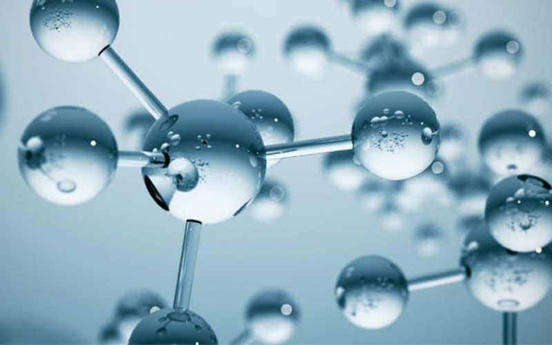 Collagen Dipeptide-8 có tên gọi khác là collagen thế hệ thứ 4