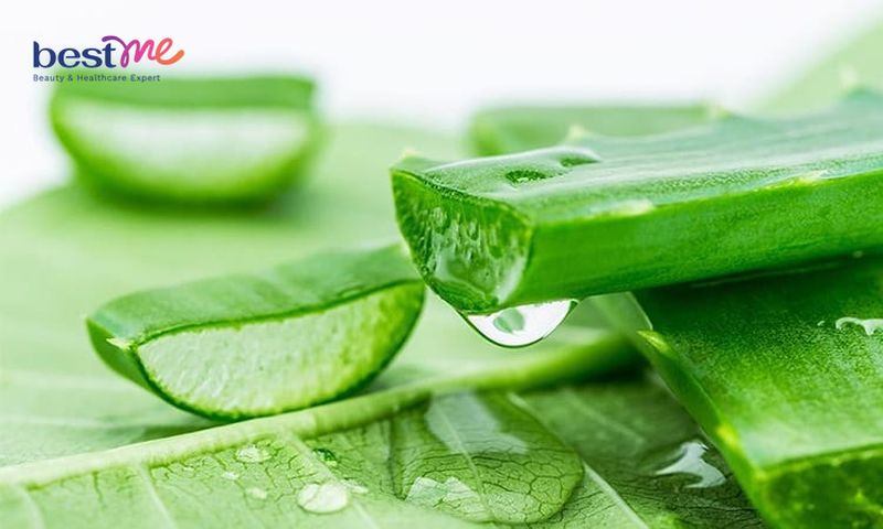 Lô hội có giúp đôi môi mềm mịn, tươi tắn cả ngày dài