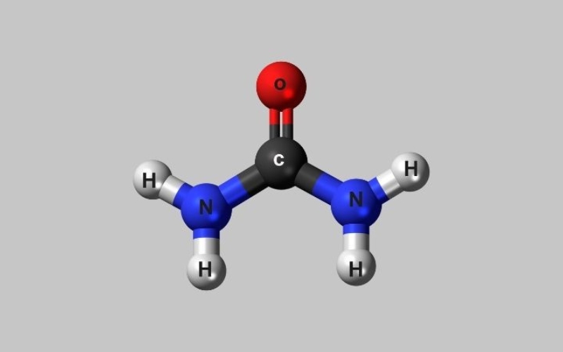 Urea là một hợp chất hữu cơ với công thức hóa học CO(NH2)2