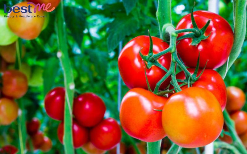 thong-ke-ham-luong-vitamin-trong-hoa-qua-ban-an-hang-ngay-20 Thống kê hàm lượng vitamin trong hoa quả bạn ăn hằng ngày - 20