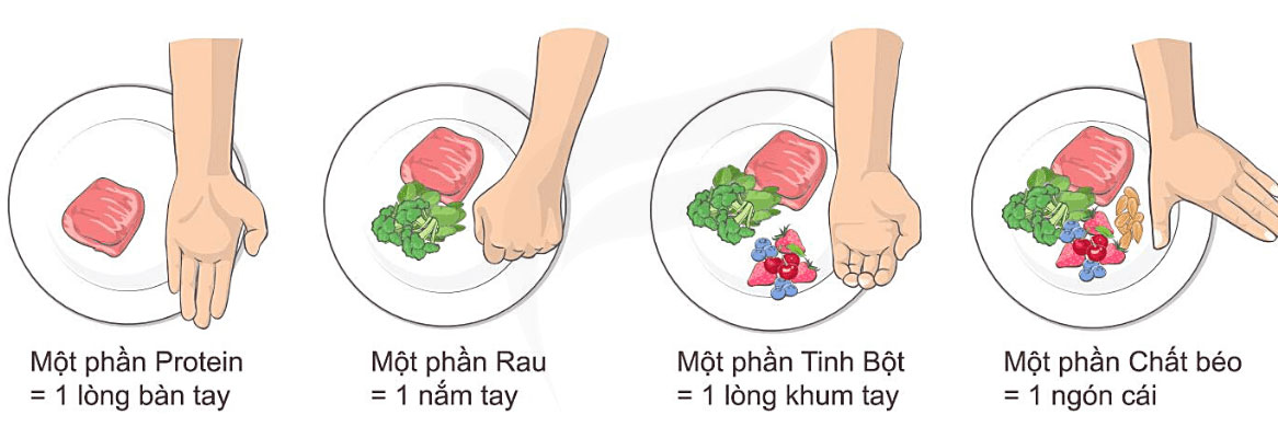 Áp dụng quy tắc bàn tay để phân chia lượng thức ăn