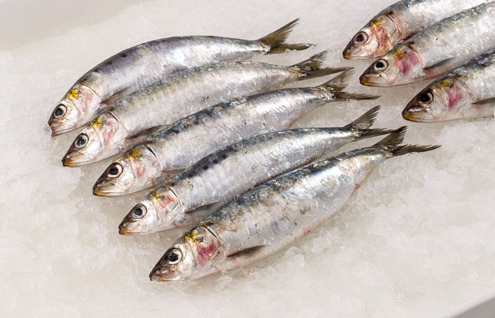 Ưu tiên các loại cá béo giàu omega-3 như cá mòi khi lên thực đơn keto