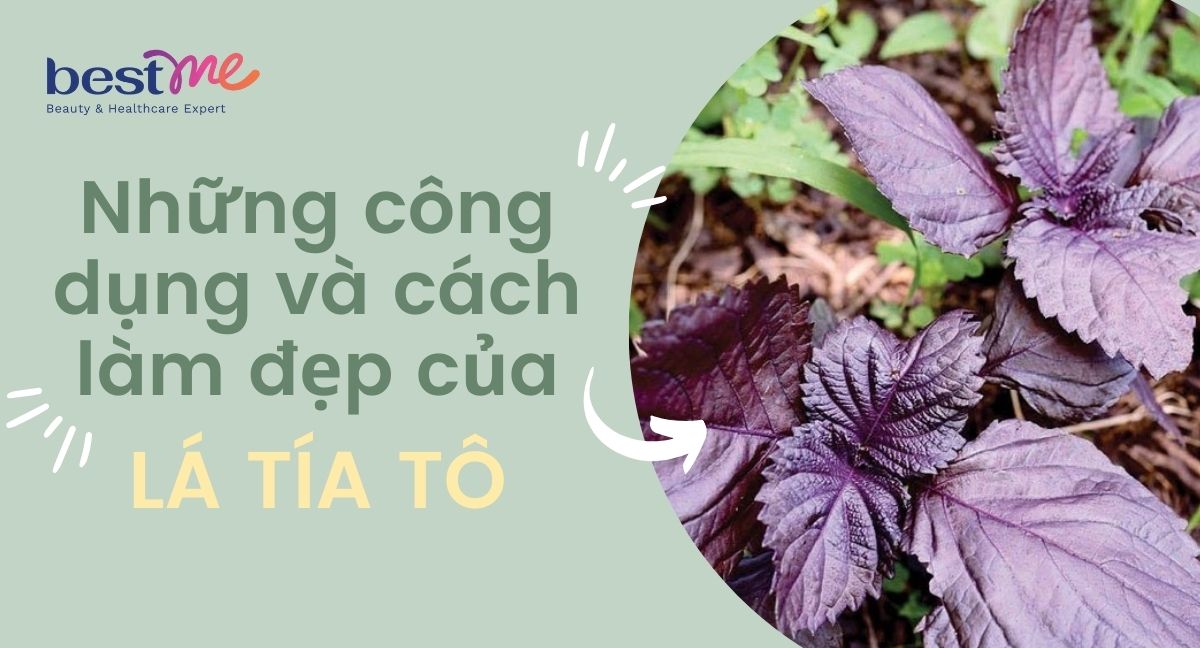 Những công dụng và cách làm đẹp của lá tía tô