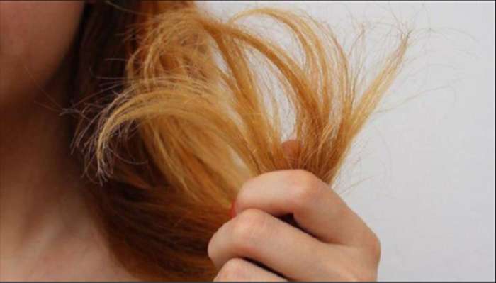 Điểm danh 5 nguyên nhân tóc khô xơ gãy rụng bạn không ngờ đến