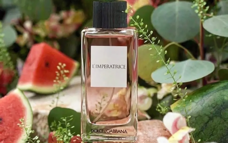 top-10-nuoc-hoa-dolce-amp-gabbana-mui-huong-cao-cap-sang-trong-6 Top 10 nước hoa Dolce & Gabbana mùi hương cao cấp, sang trọng - 6