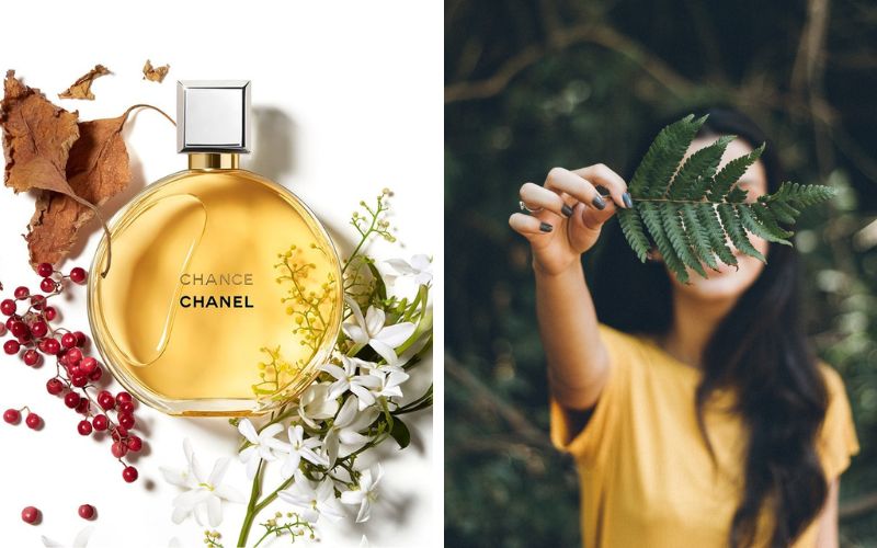 top-11-nuoc-hoa-chanel-nu-cuon-hut-moi-anh-nhin-5 TOP 11 nước hoa Chanel nữ cuốn hút mọi ánh nhìn - 5
