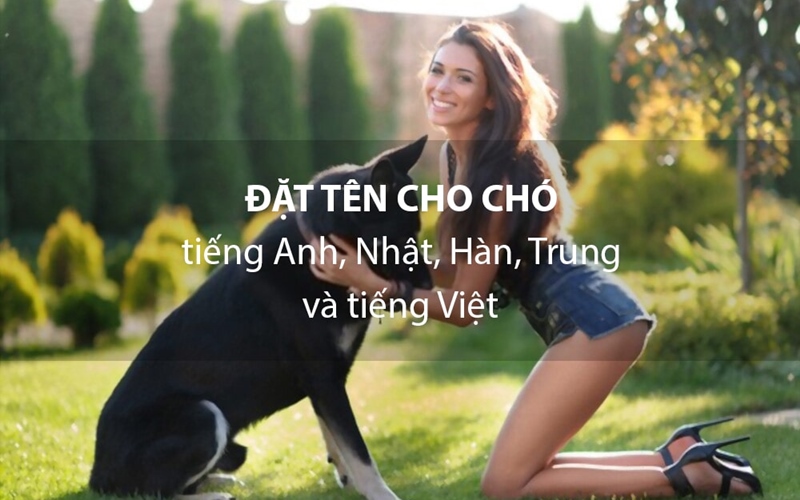 TOP 500 cách đặt tên cho chó hay, ý nghĩa và dễ thương - 5