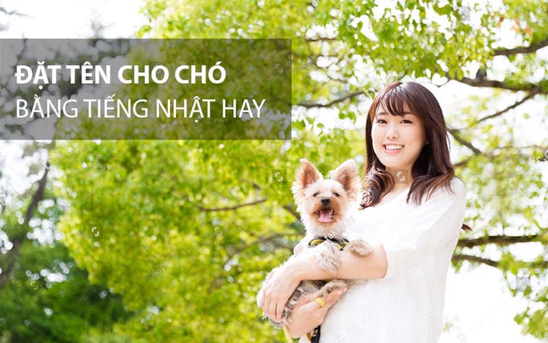 TOP 500 cách đặt tên cho chó hay, ý nghĩa và dễ thương - 6