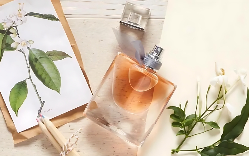 [Toplist] 15+ nước hoa Pháp nổi tiếng, thơm lâu cho nữ - 3