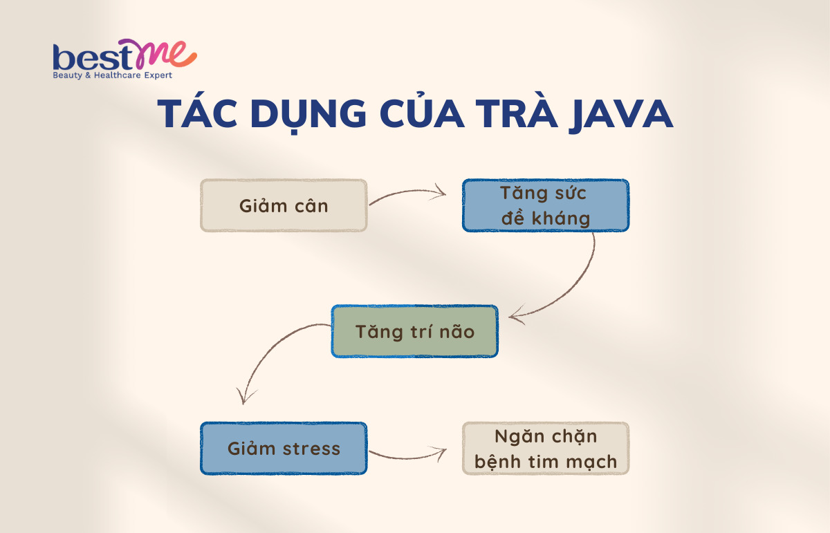 Tác dụng của trà java đối với sức khỏe
