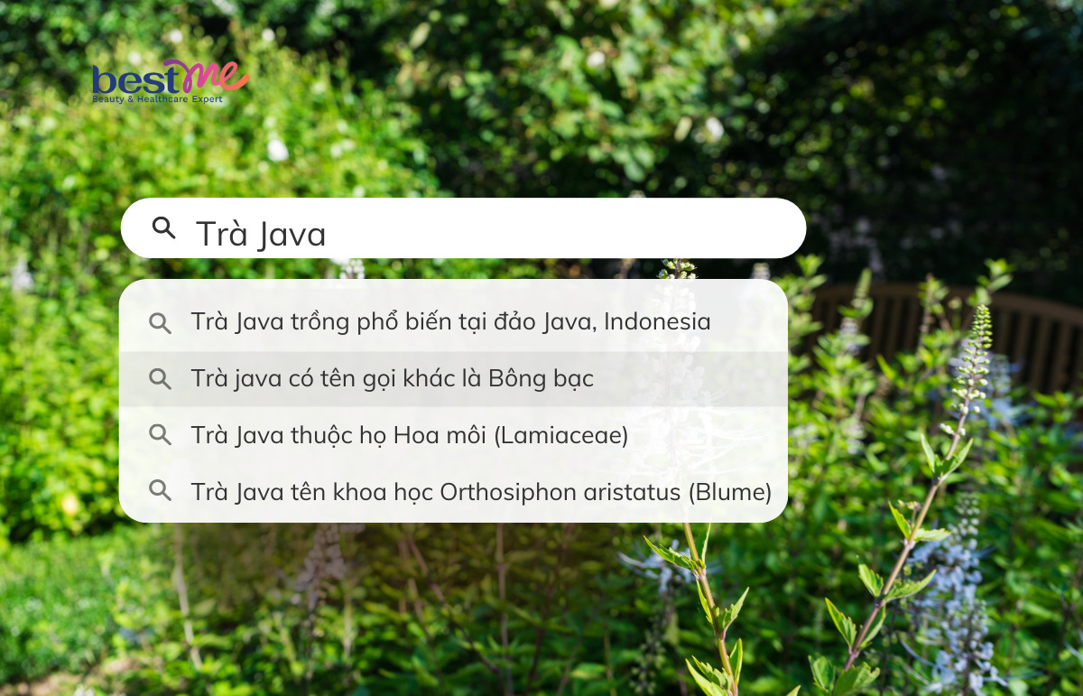 Giới thiệu về trà java