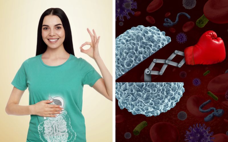 trehalose-la-gi-dong-vai-tro-gi-trong-my-pham-lam-dep-6 Trehalose là gì? Đóng vai trò gì trong mỹ phẩm làm đẹp? - 6