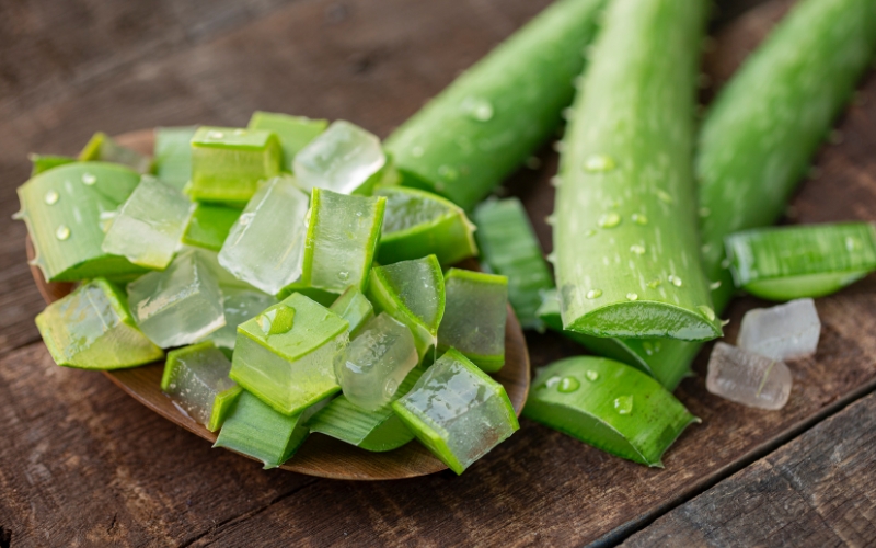 Lấy lại đôi môi hồng hào căng bóng bằng nha đam