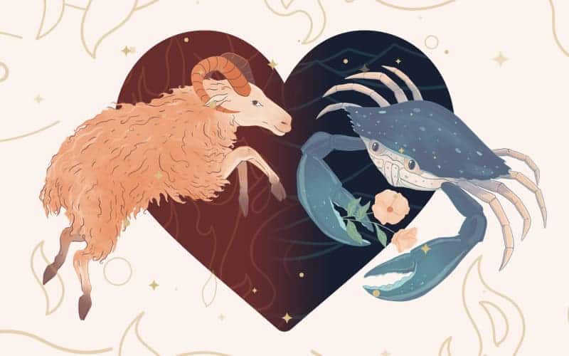 Trong 12 cung hoàng đạo Bạch Dương ghét cung nào nhất? - 5