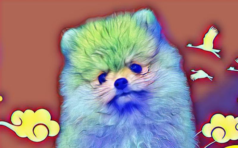 Tử vi 12 con giáp năm 2024, tử vi năm Giáp Thìn, nên cưới xin, cẩn trọng tiền bạc - 11