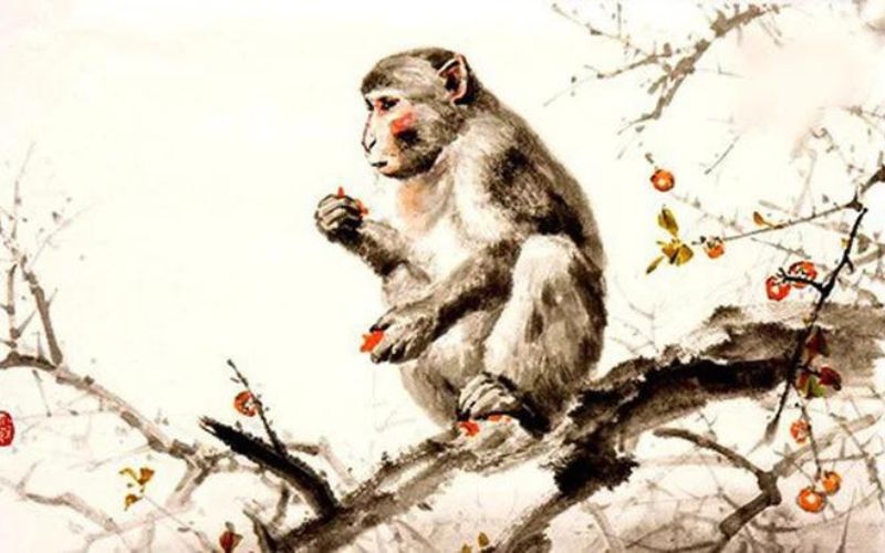 Tử vi 12 con giáp năm 2024, tử vi năm Giáp Thìn, nên cưới xin, cẩn trọng tiền bạc - 9