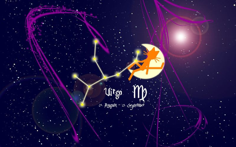 Tử vi 12 cung hoàng đạo tháng 1/2024: Cự Giải được nhiều quý nhân phù trợ, Thiên Bình cần dành nhiều thời gian cho bản thân và gia đình - 6