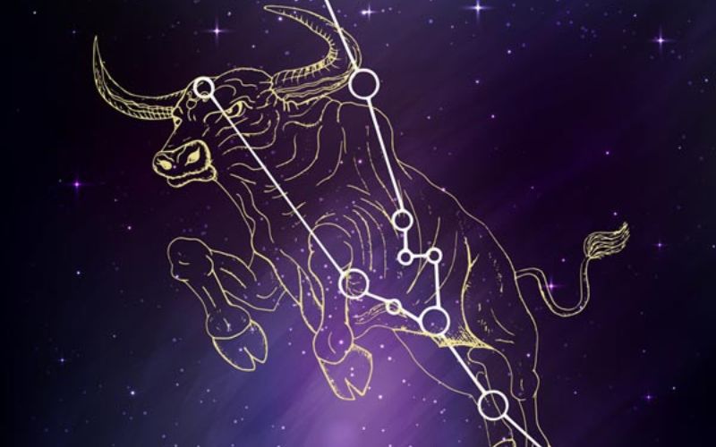 Tử vi 12 cung hoàng đạo tuần này 25/12 - 31/12: Thiên Bình tìm kiếm được tình yêu mới, Nhân Mã quyết đoán trong mọi việc - 4