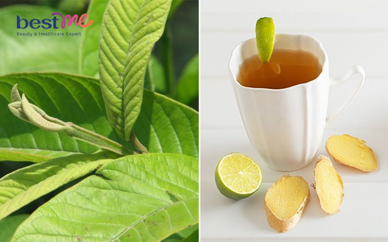 uong-la-oi-co-giam-can-khong-6-cach-giam-can-bang-la-oi-cuc-hieu-qua-3 Uống lá ổi có giảm cân không? 6 cách giảm cân bằng lá ổi cực hiệu quả - 3
