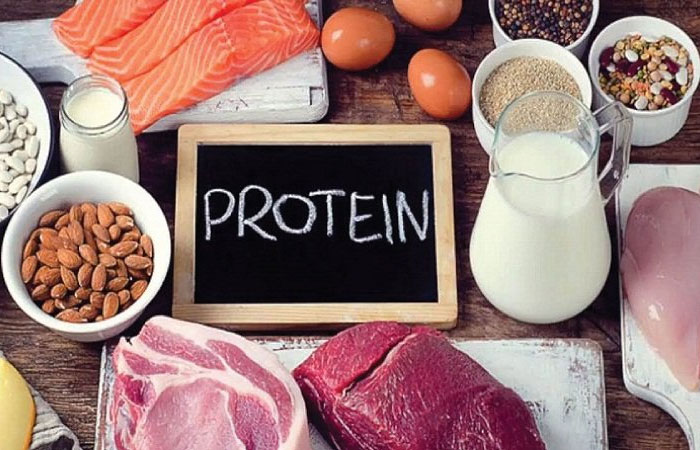 Thực phẩm chứa protein rất cần thiết với cơ thể