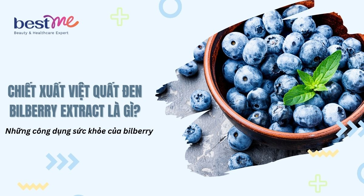 Chiết xuất việt quất đen bilberry extract là gì? Những công dụng sức khỏe của bilberry