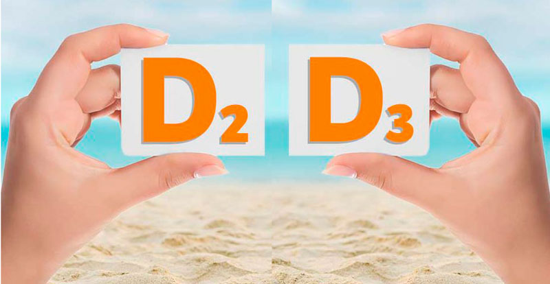 vitamin-d2-la-gi-phan-biet-vitamin-d2-va-vitamin-d3-6 Vitamin D2 là gì? Phân biệt vitamin D2 và vitamin D3 - 6