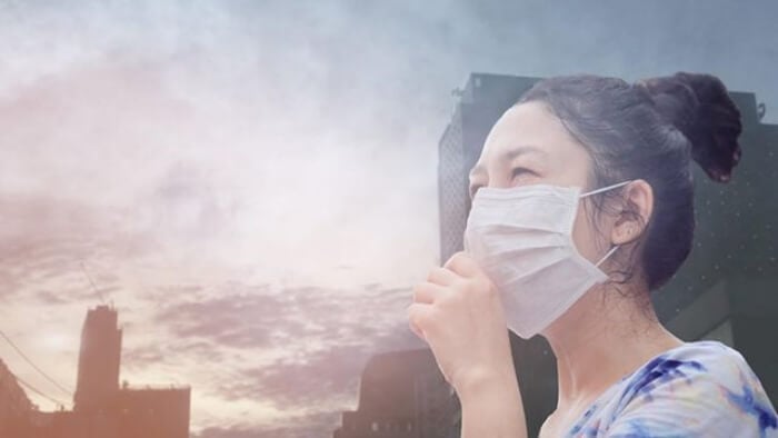 Không khí ô nhiễm có thể ngăn chặn hoạt động của các tế bào lympho T trong hệ miễn dịch
